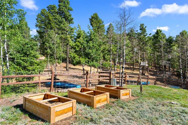 4269 Cedar Mountain Road, Divide, CO 80814