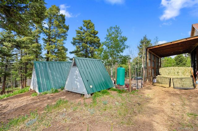 4269 Cedar Mountain Road, Divide, CO 80814