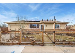 924 Larch Dr, Windsor, CO 80550
