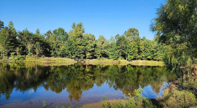 8909 Berry Patch Lane, Roland, AR 72135