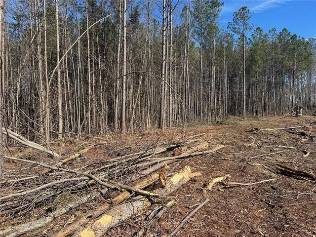 27.68 Chapman Ridge Lane, Dahlonega, GA 30533