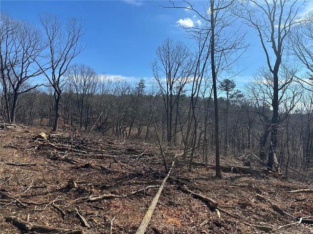 27.68 Chapman Ridge Lane, Dahlonega, GA 30533