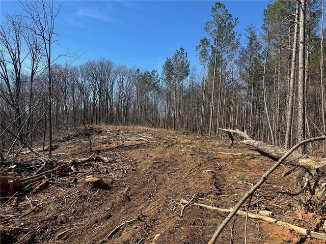 27.68 Chapman Ridge Lane, Dahlonega, GA 30533