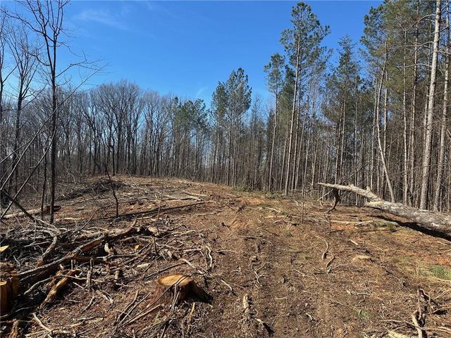 27.68 Chapman Ridge Lane, Dahlonega, GA 30533