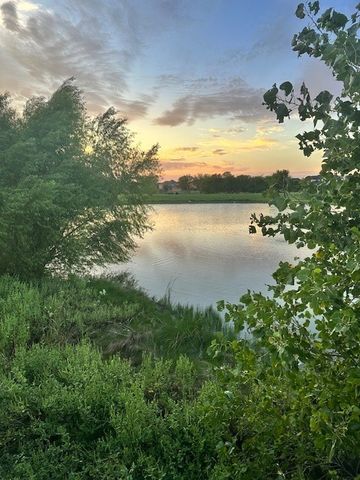 1208 Lady Mantle Way, Little Elm, TX 76227