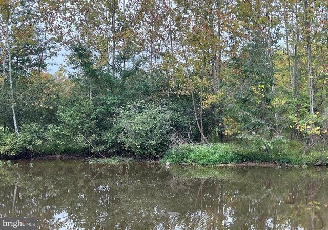 26700 DANIELS POINT DR, Unionville, VA 22567