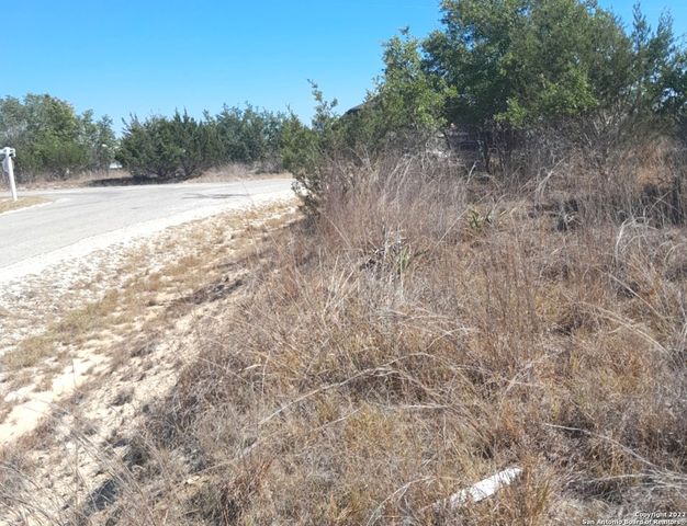 232 HIRAM COOK, Blanco, TX 78606