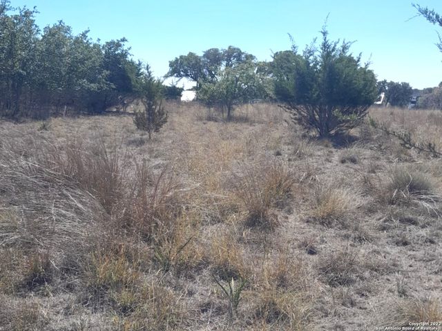 232 HIRAM COOK, Blanco, TX 78606