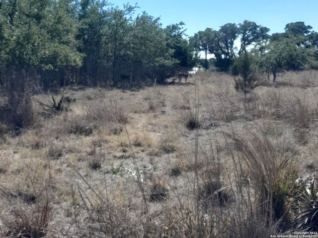 232 HIRAM COOK, Blanco, TX 78606