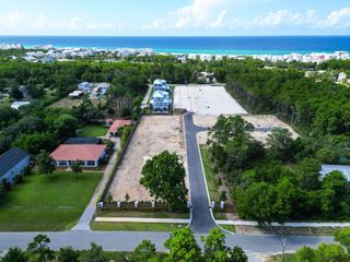 102 Walton Palm Road, Inlet Beach, FL 32461