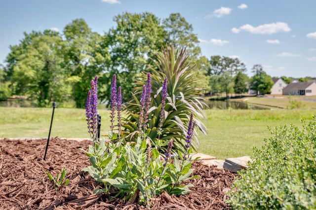 3096 Ambleside Drive, Fort Mill, SC 29707