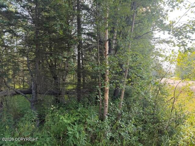 4451 E Merrill Circle, Wasilla, AK 99654