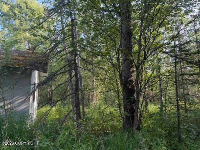 4451 E Merrill Circle, Wasilla, AK 99654