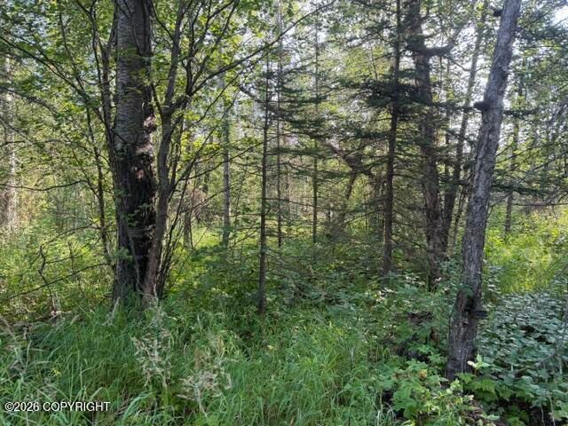 4451 E Merrill Circle, Wasilla, AK 99654