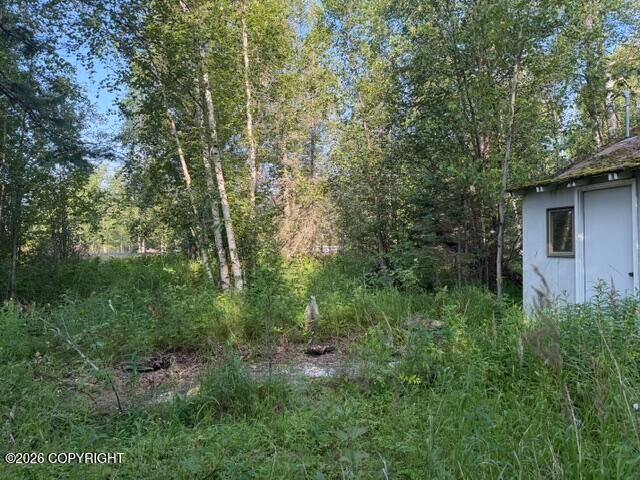 4451 E Merrill Circle, Wasilla, AK 99654