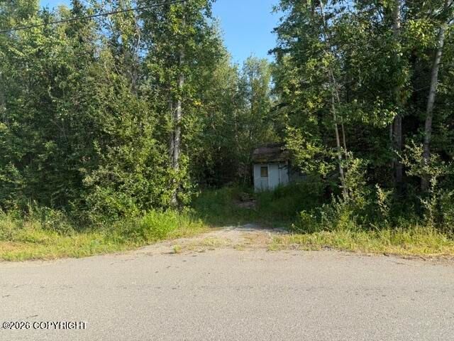 4451 E Merrill Circle, Wasilla, AK 99654