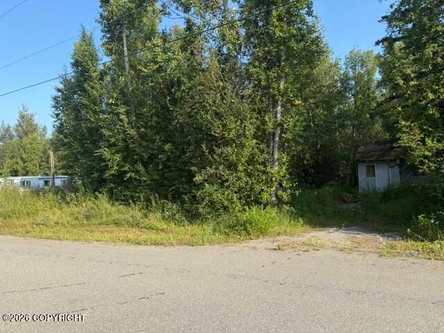 4451 E Merrill Circle, Wasilla, AK 99654
