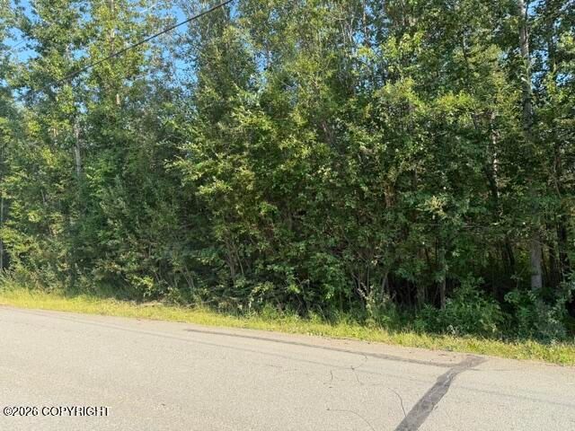 4451 E Merrill Circle, Wasilla, AK 99654