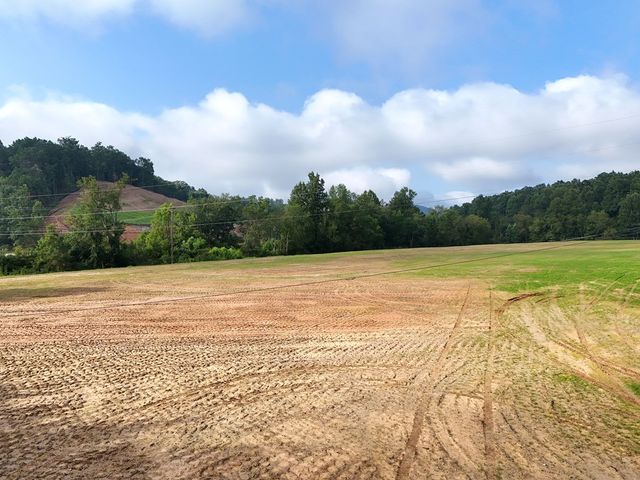 10.01 AC Robert Lovell Drive, Blairsville, GA 30512