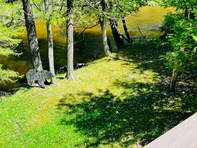 4189 Big Sky Trail, Indian River, MI 49749