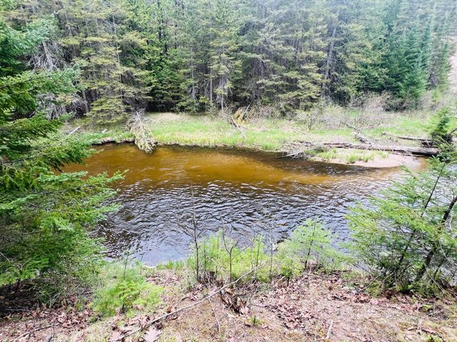 4189 Big Sky Trail, Indian River, MI 49749