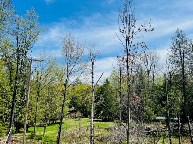 4189 Big Sky Trail, Indian River, MI 49749