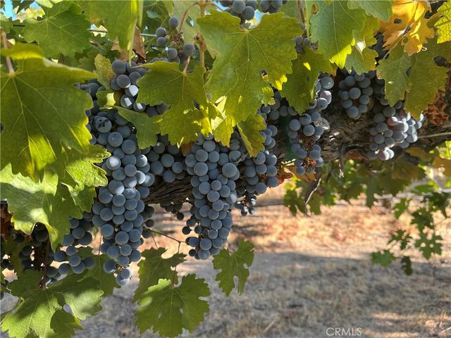 53600 Bradley Lockwood, Bradley, CA 93426