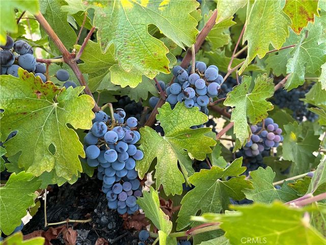 53600 Bradley Lockwood, Bradley, CA 93426