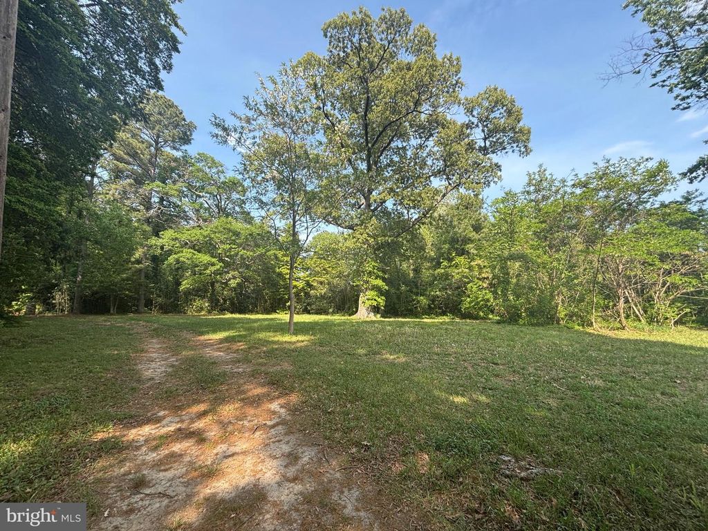 Image 2 of property listing at 15567 POTOMAC RIVER DR, Cobb Island, MD 20625