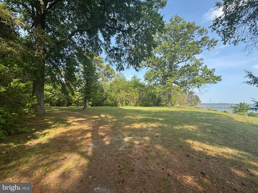 Image 3 of property listing at 15567 POTOMAC RIVER DR, Cobb Island, MD 20625