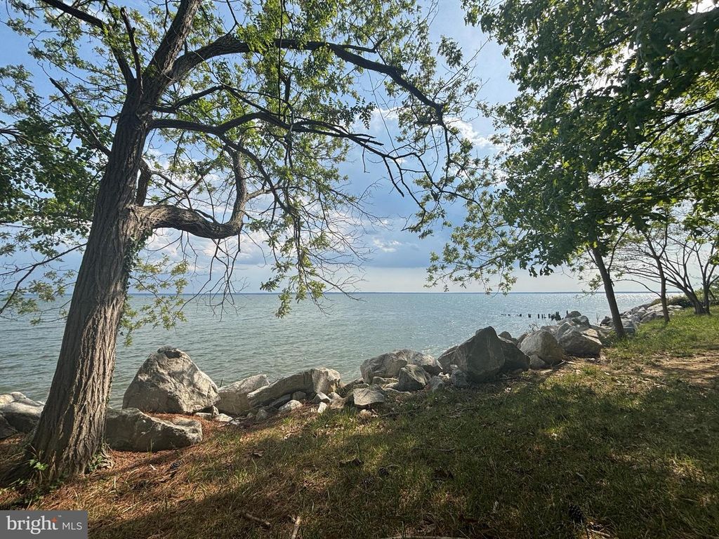 Image 8 of property listing at 15567 POTOMAC RIVER DR, Cobb Island, MD 20625
