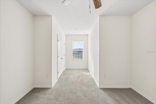 32335 TURTLE GRACE LOOP, Wesley Chapel, FL 33545