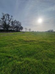TBD County Road 231, Centerville, TX 75833