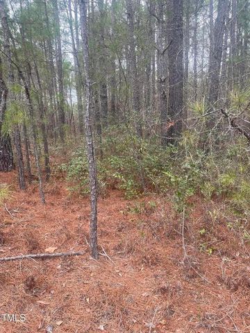 0 Bumpy Lane, Sanford, NC 27332