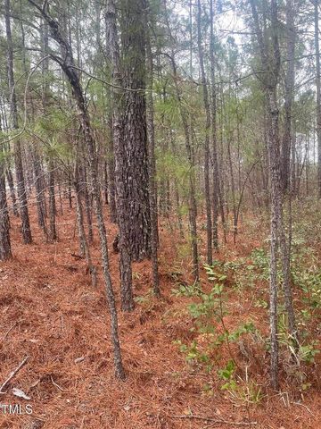 0 Bumpy Lane, Sanford, NC 27332