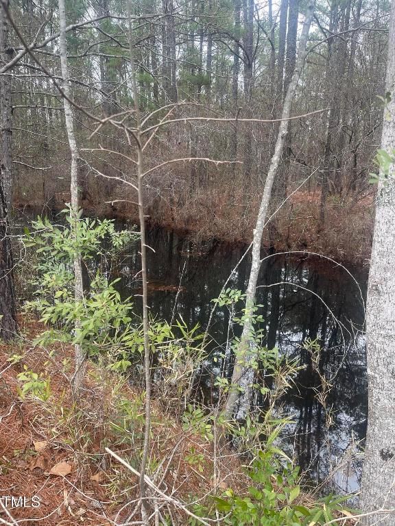 0 Bumpy Lane, Sanford, NC 27332