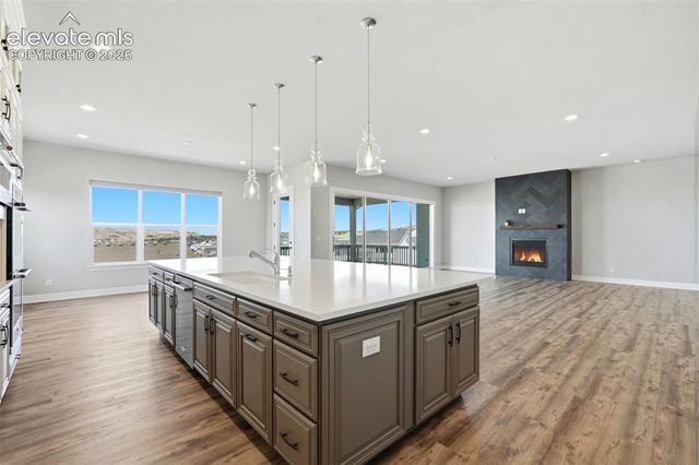 851 Alumroot Street, Castle Rock, CO 80104