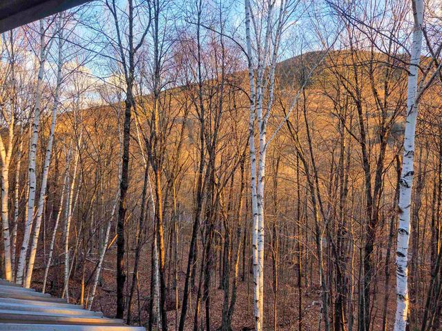 36 Easterly Rd 2, Lincoln, NH 03251