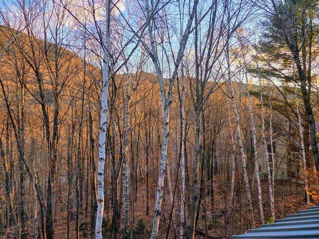 36 Easterly Rd 2, Lincoln, NH 03251