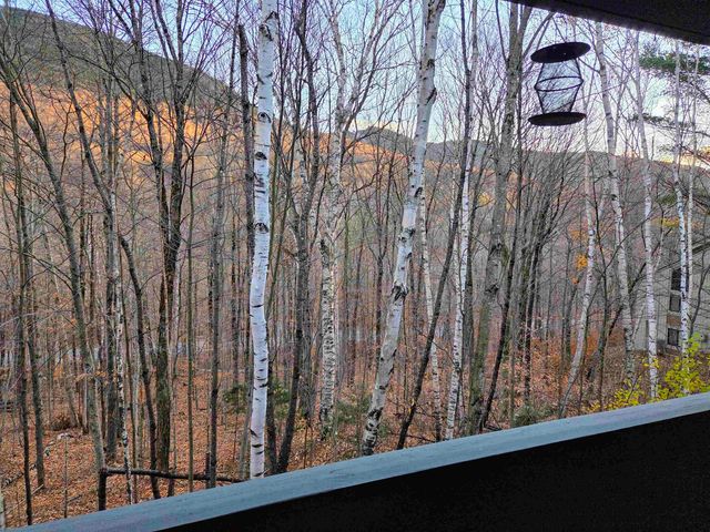 36 Easterly Rd 2, Lincoln, NH 03251