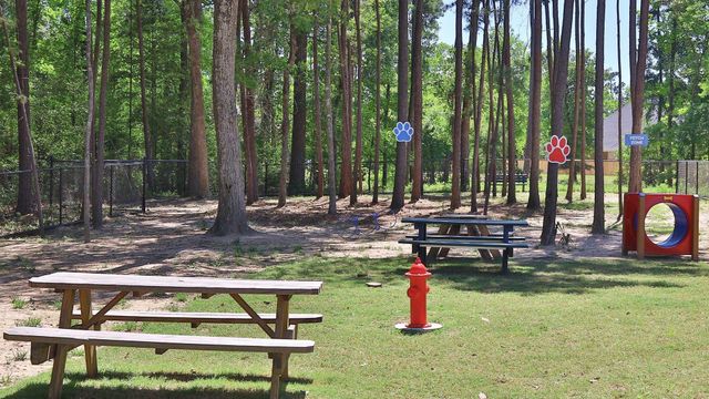 311 Texoma Plains Drive, Conroe, TX 77304