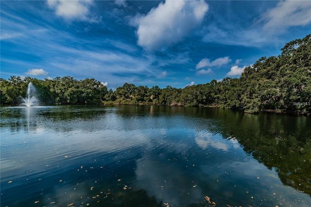 693 1ST COURT, Palm Harbor, FL 34684