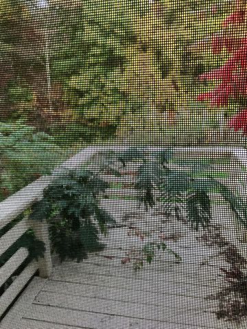 159 Powell Drive, Rising Fawn, GA 30738