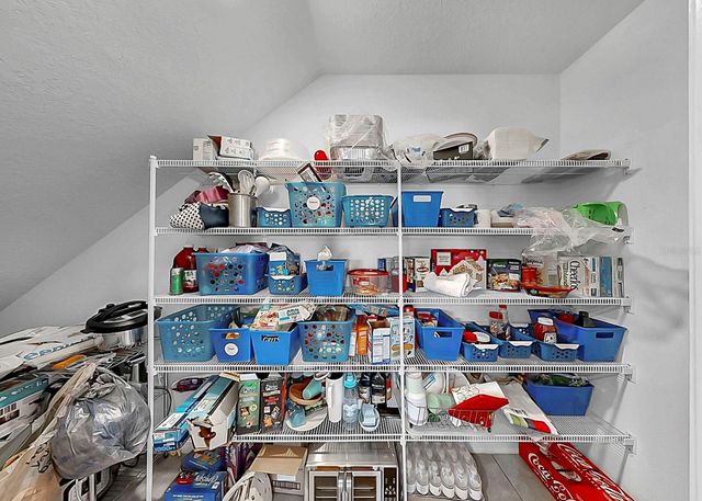 16619 MOSAIC OAR DRIVE, Wimauma, FL 33598