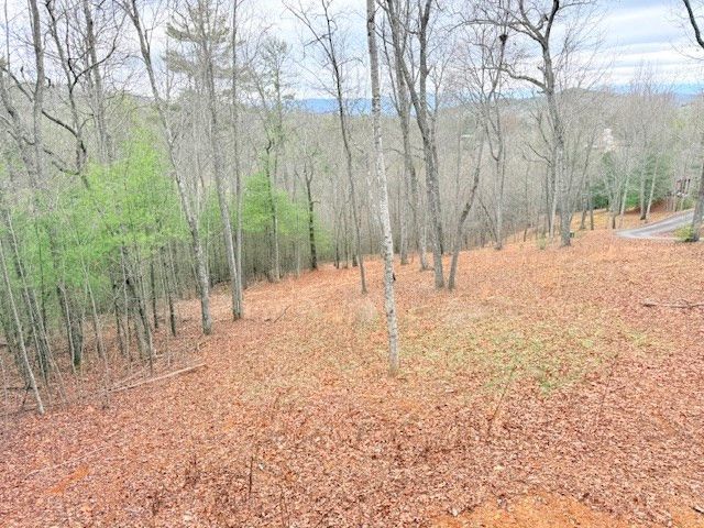 560 Carolina Fox Circle, Murphy, NC 28906