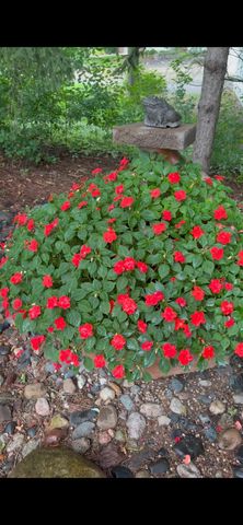 6831 Stonewood Court, Eden Prairie, MN 55346