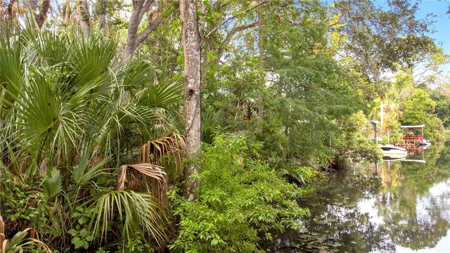 6416 THERESA AVENUE, Weeki Wachee, FL 34607