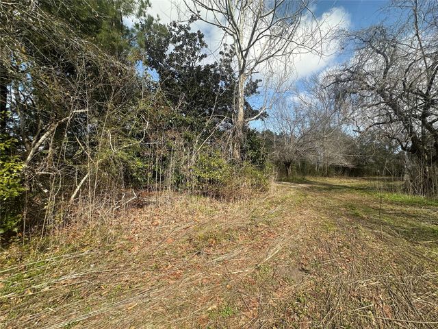 4515 Ike Frank Road, Santa Fe, TX 77517