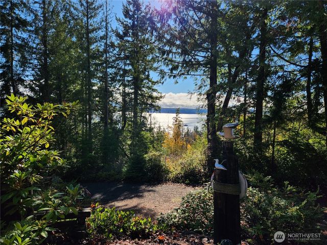 222 Towhee Lane, Brinnon, WA 98320