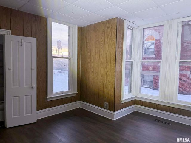 230 E CHESTNUT Street, Canton, IL 61520